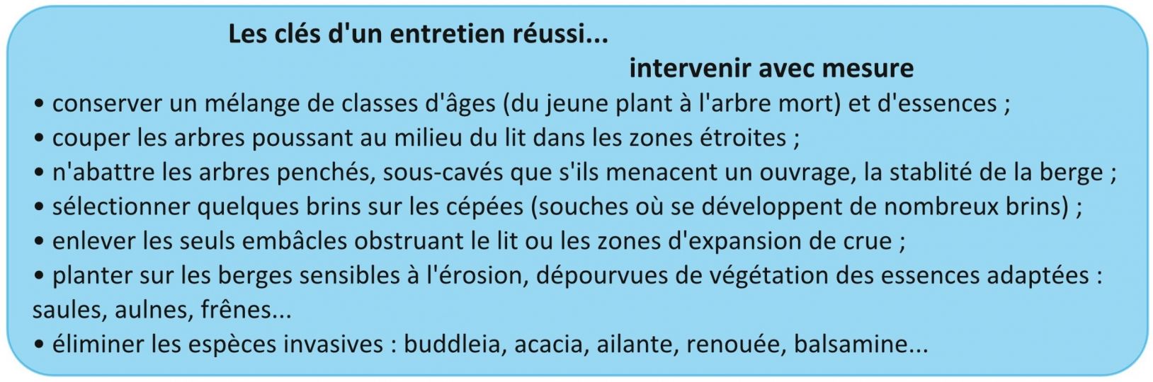 Entretenir la végétation des berges